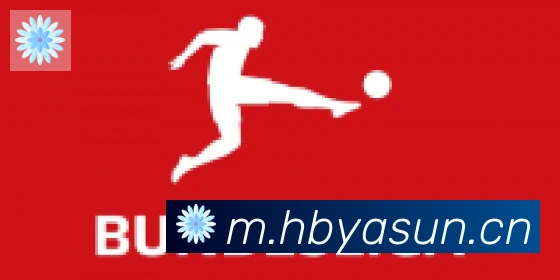 hth华体网页版登录入口合作伙伴